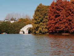 -上海海湾国家森林公园