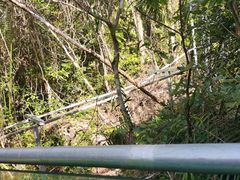 -七仙岭温泉国家森林公园