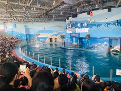 -苏州海洋馆