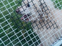 -世博家园十街坊