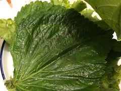 土豆泥-吴记酱骨炖菜馆(西大直街店)