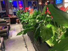 -管氏翅吧(台湾街店)