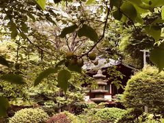 -新高轮格兰王子大酒店