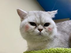 -白兔子密室(长寿路店)