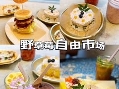 -野草莓自由市场
