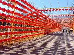 -北京凤凰岭