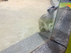 -秦皇岛新澳海底世界