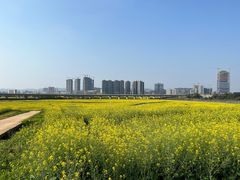 -光明小镇欢乐田园