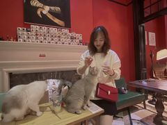 -猫色咖啡·猫咖