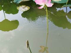 -中国农业博物馆