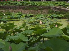 -古田会议纪念馆