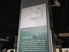 -合浦汉代文化博物馆