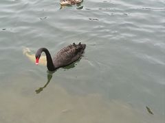 -茵特拉根酒店·西餐厅