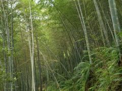 -千泷沟大瀑布旅游区