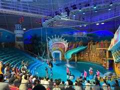 -烟台海昌鲸鲨海洋公园