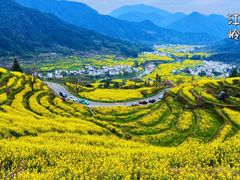 -婺源风景区