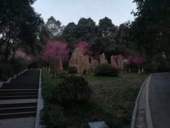 -富乐山