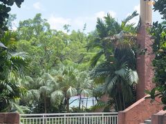 -麒麟中餐厅·经典粤菜·地道菜式老字号(广州长隆酒店)