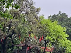 -荔湾湖公园