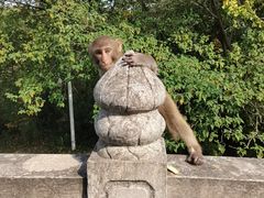 -苏州上方山国家森林公园
