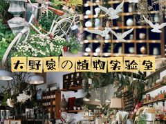 -千岛湖燃擎卡丁车赛车主题乐园(秀湖路店)