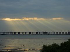 -宝安西湾红树林湿地公园