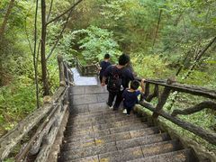 -汤旺河林海奇石景区