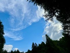 -山王坪喀斯特国家生态公园