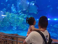 -华夏文旅海洋公园