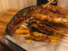 鳝鱼-晓靖轩烧烤(沙河风情店)
