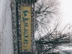 -红岛休闲渔村