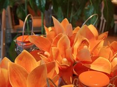 -木王宴语·野生鲜菌火锅(玉河店)