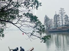 -东湖落雁景区
