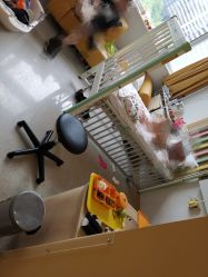 -北京新世纪儿童医院