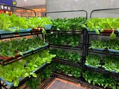 -苏格里岛自助海鲜火锅烧烤(大汉悦中心店)