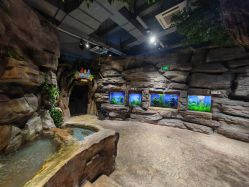 -宝燕乐园(闵行旗舰店)