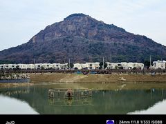 -桃花岛景观公园