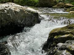 -关门山森林公园