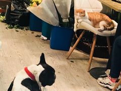 -小时光咖啡馆(北锣鼓巷店)