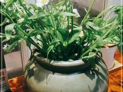 -囿面传统制面馆(中央路店)