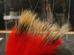 -布洛克德克萨斯国家历史博物馆