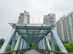 -运河游船(武林门码头)