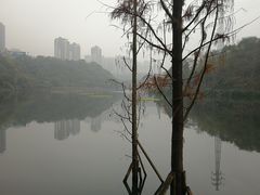-重庆彩云湖湿地公园
