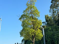 -山乡巨变第一村-周立波故居