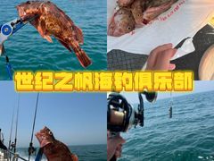 -日照海滨国家森林公园