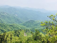 -内乡宝天曼生态旅游区
