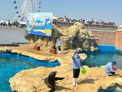 -秦皇岛乐岛海洋王国