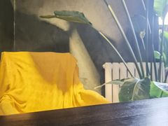 -大视光学•LINDBERG林德伯格•全球手工眼镜集合店(王府井店)