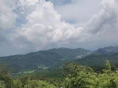 -武陵山森林公园