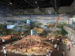 -自贡恐龙博物馆